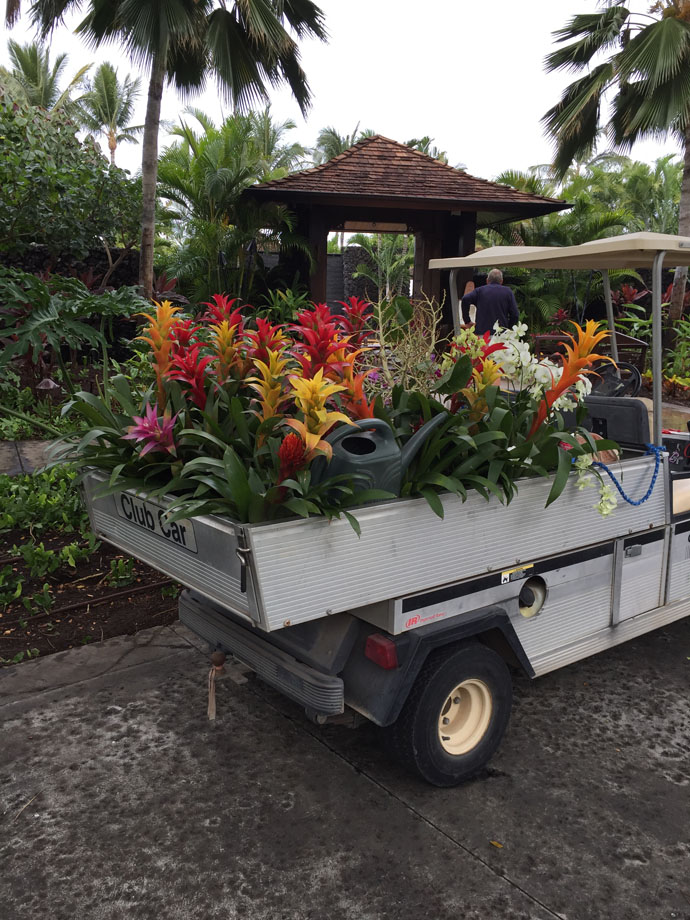 orchid truck