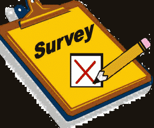 Web-survey