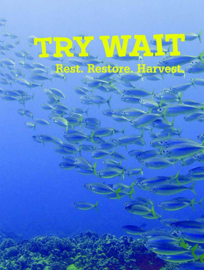 Try Wait (photo)1